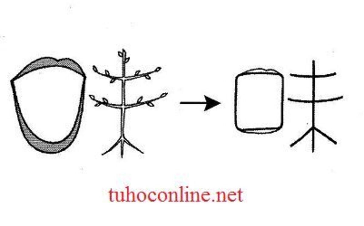 Học kanji có khó không 2